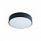Светильник LOFT IT 10002/12 Black