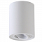 Светильник Crystal Lux CLT 410C1 WH